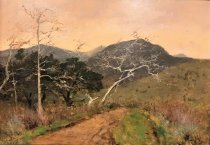 Sycamores at Meadow's Edge, February 1903