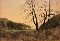 Sycamores, Near Beach