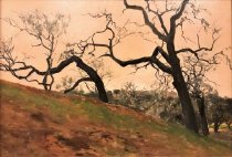 White Oaks, Santa Barbara, February 4, 1906