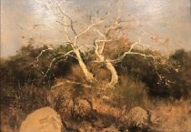 Moonlight, November 1, 1924