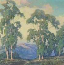 Eucalyptus, n.d.