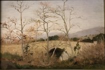 Bridge in Mission Canyon