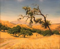 Santa Ynez Valley, 1943