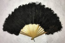 Feather fan