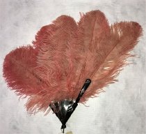 Feather fan