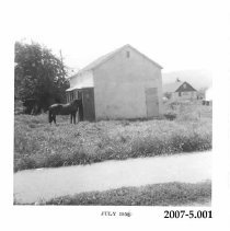 Koko the Horse by Fall City Phone Booth 1956