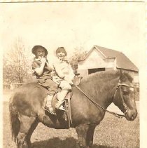 Children on pony, Fall City c1938