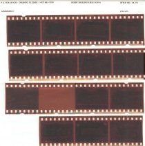 Negatives for photos of Fall City Cemetery grave markers