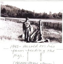 Harold Johnson Feeding Pigs