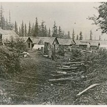 Andrew McCann's Camp