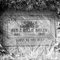 Simon and Ben Bailey families, Fall City