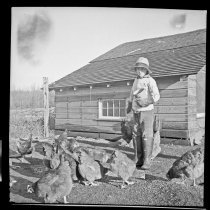 Ed Opstad & Chickens