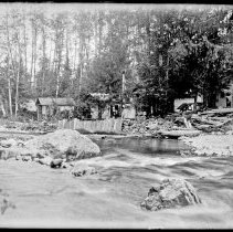 West side of Raging River Auto Camp, Fall City