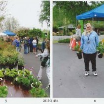 2006 Library Plant sale photos