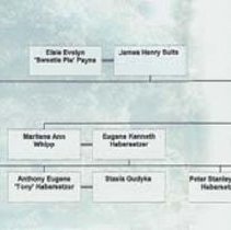 Elsie Evelyn "Sweetie Pie" Payne genealogy