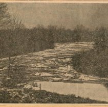 Logs floating down river to Weyerhaueser Mill