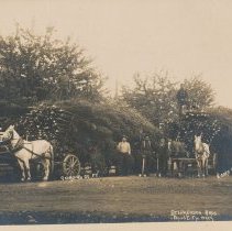 Stephenson Brothers, Falls City (logging)