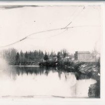 Print, digital from scan