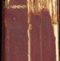 Minutes TER Stockholders and Directors No. 2 (spine)