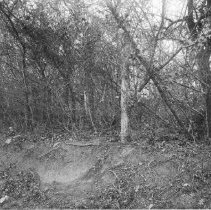 Embankment Along TER Rail Line