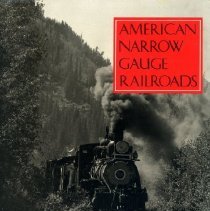 American Narrow Gauge Railroads