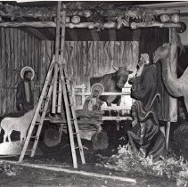 Contractors setting up small trees for the Nativity Scene c. 1940's