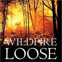 Wildfire Loose - the week maine burned