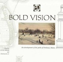 Bold Vision