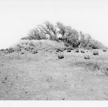 Site 102 looking west