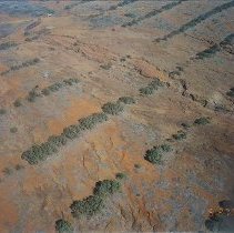 Aerial photo of tree lines amongst hardpan