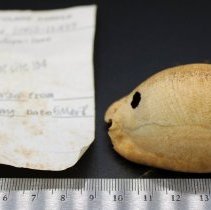 Octopus lure with artifact slip