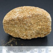 Ulumaika fragment with ruler