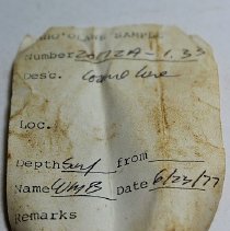 Artifact slip for cowrie shell lure