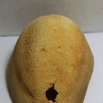 Lengthwise view of damaged shell lure