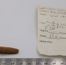 Coral abrader with artifact slip
