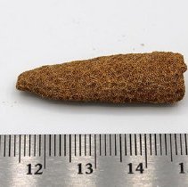 Profile of coral abrader