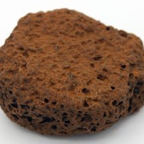 Ulamaika closeup without ruler