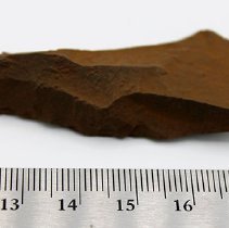 Extreme closeup of possible auger