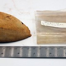 Cowry shell lure with artifact  bag label