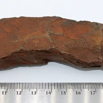 Adze preform #3 with ruler