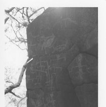 Petroglyphs at Site 121 (Feature G) facing southeast