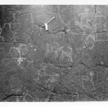 Petroglyphs at Site on a boulder at Site 121