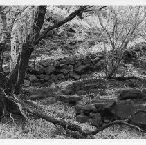 Historic trail at Site 672