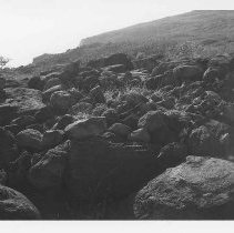 Ko'a or heau at Site 348 (Feature A)