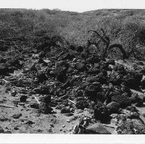 Possible shrine at Site 636 (feature E)