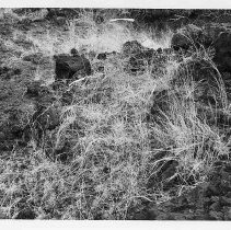 Possible shrine at Site 647 (Feature C)