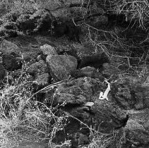 Habitation terrace at Site 647 (Feature B)