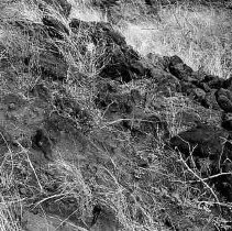 Habitation terrace at Site 647 (Feature A)