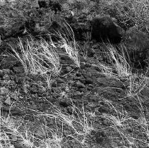 Habitation terrace at Site 647 (Feature D)