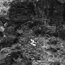Stone edged habitation terrace at Site 647E